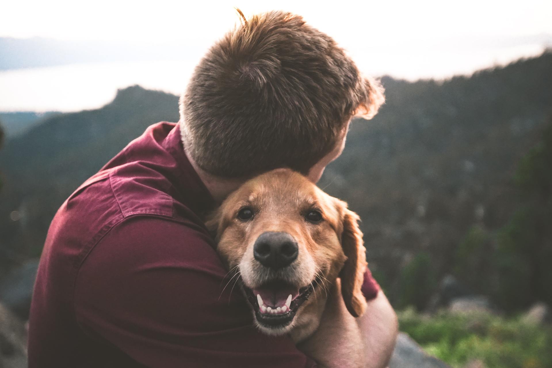 dog and his owner