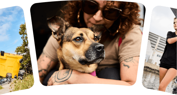 Uma pessoa abraçando um cachorro, em uma colagem de fotos